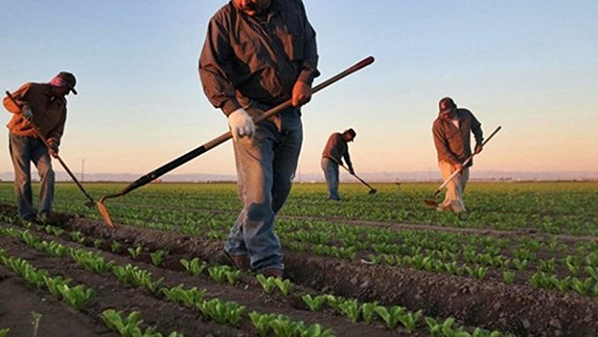 Türkiye’de çiftçi sayısı son 5 yılda yüzde 28 azaldı