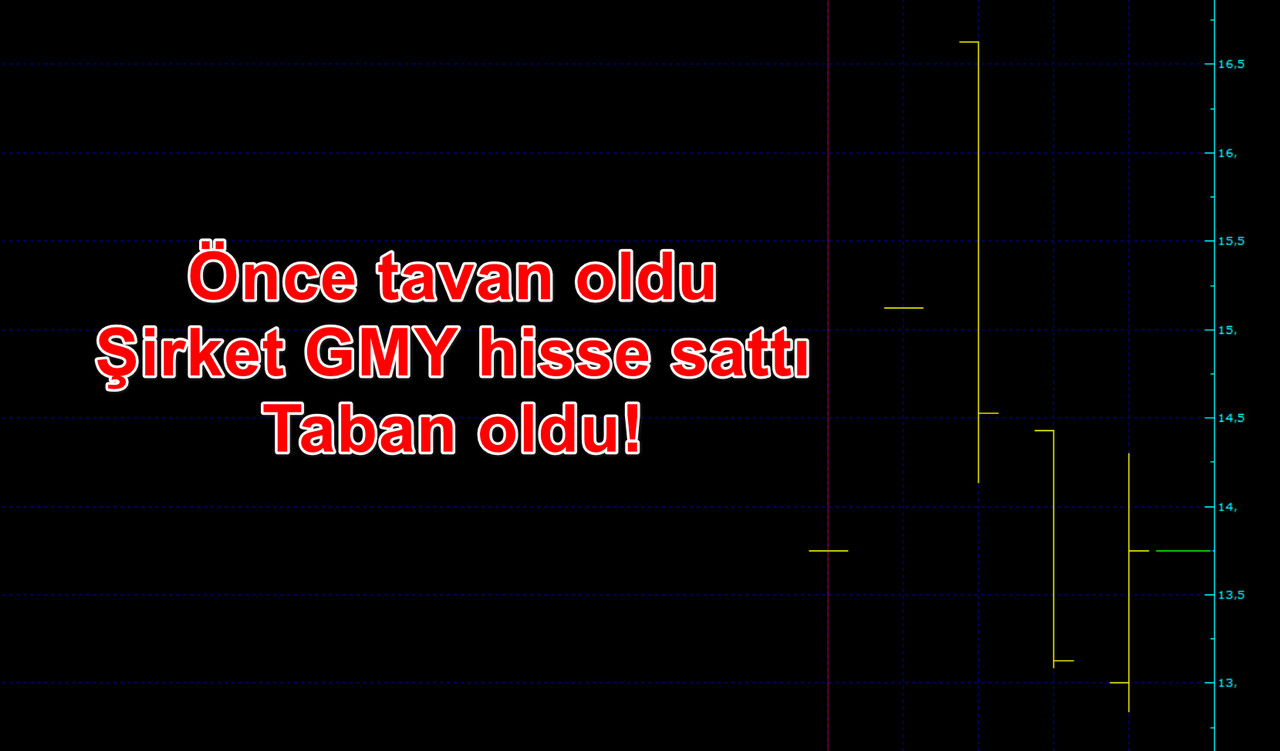 Yazık küçük yatırımcıya! Skandal halka arzda genel müdür yardımcısı karı iade etti