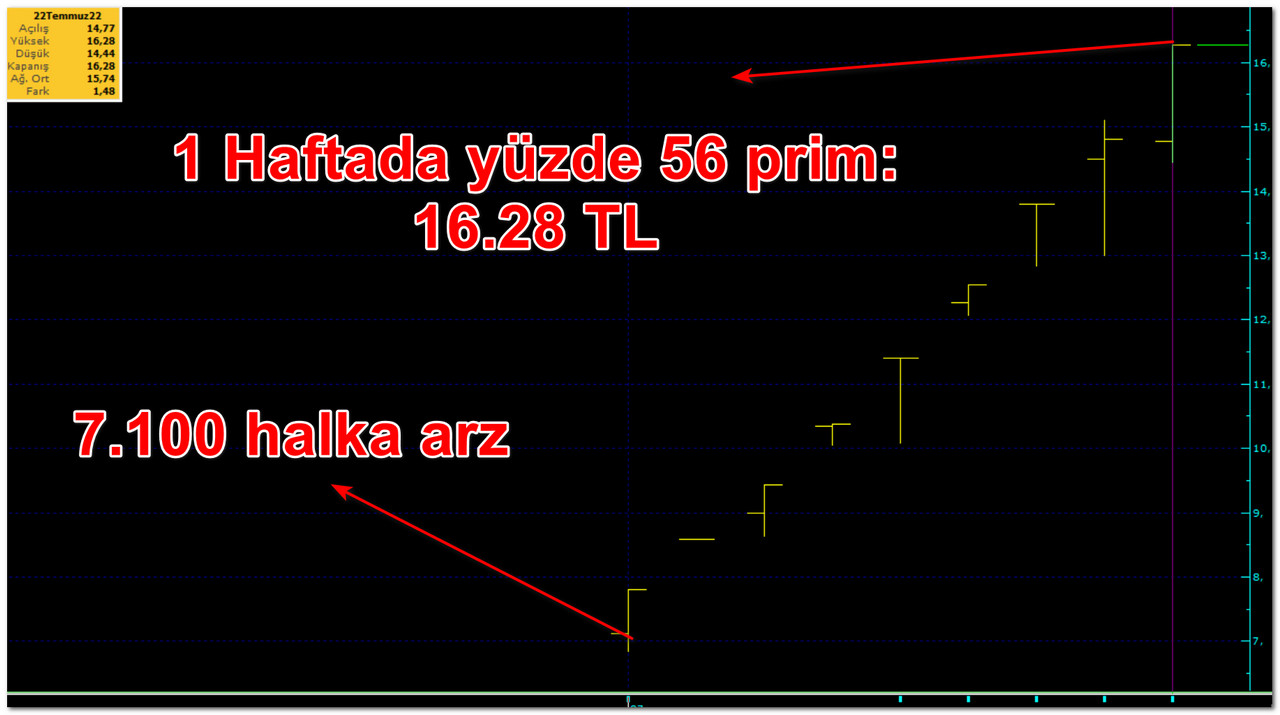 Bir garip halka arz: 1 haftada yüzde 56 prim yaptı!