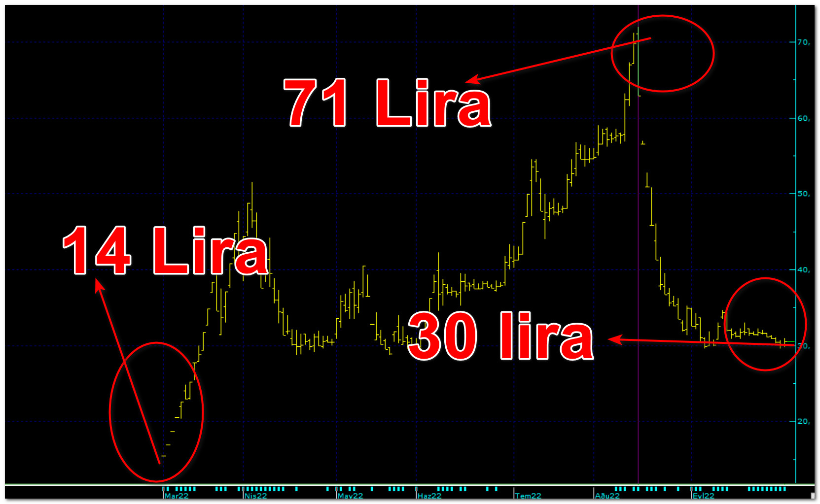 14 liradan halka arz edilen şirket hissesini 30 liradan geri alıyor!