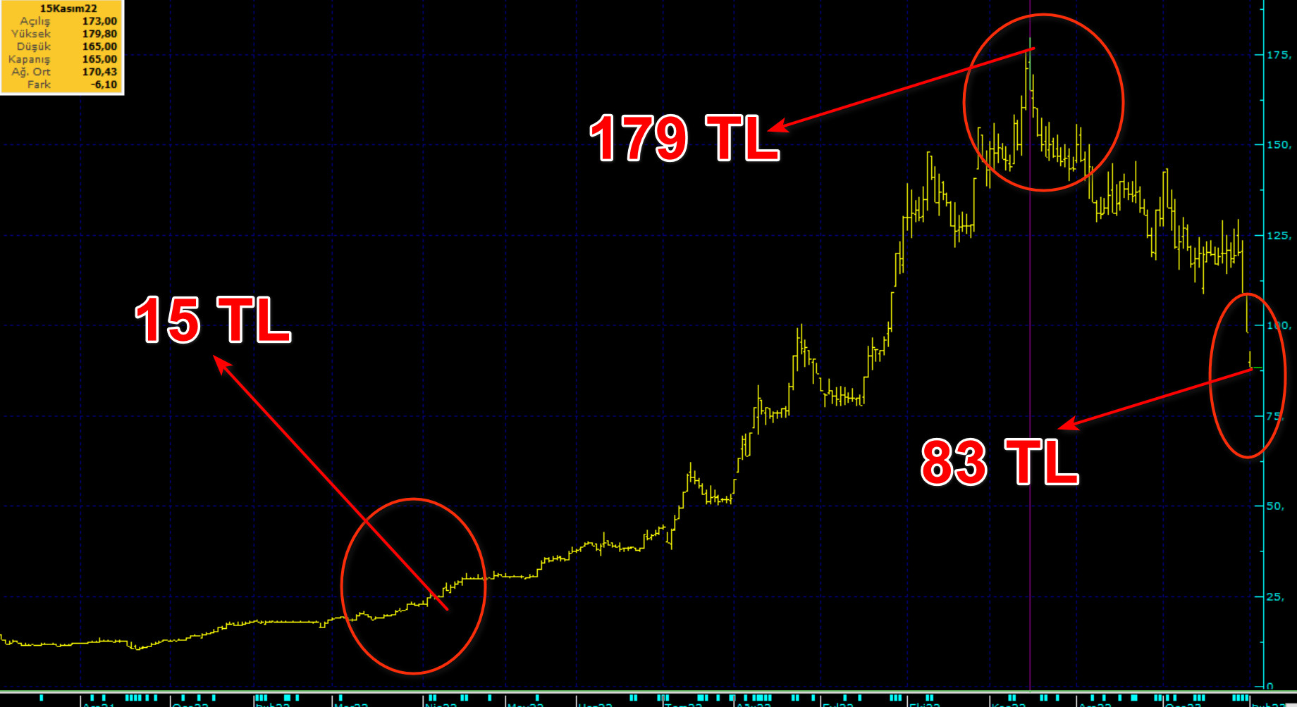 15 liradan 170 liraya yükselen hisse bir haftada yüzde 26 düştü