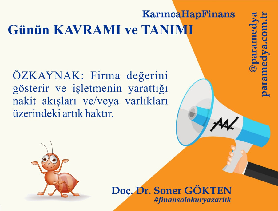 Karınca HapFinans Günün Kavramı ve Tanımı : ÖZKAYNAK nedir?