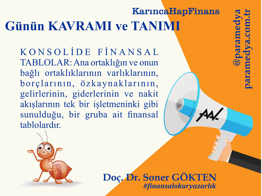 KONSOLİDE FİNANSAL TABLOLAR nedir?