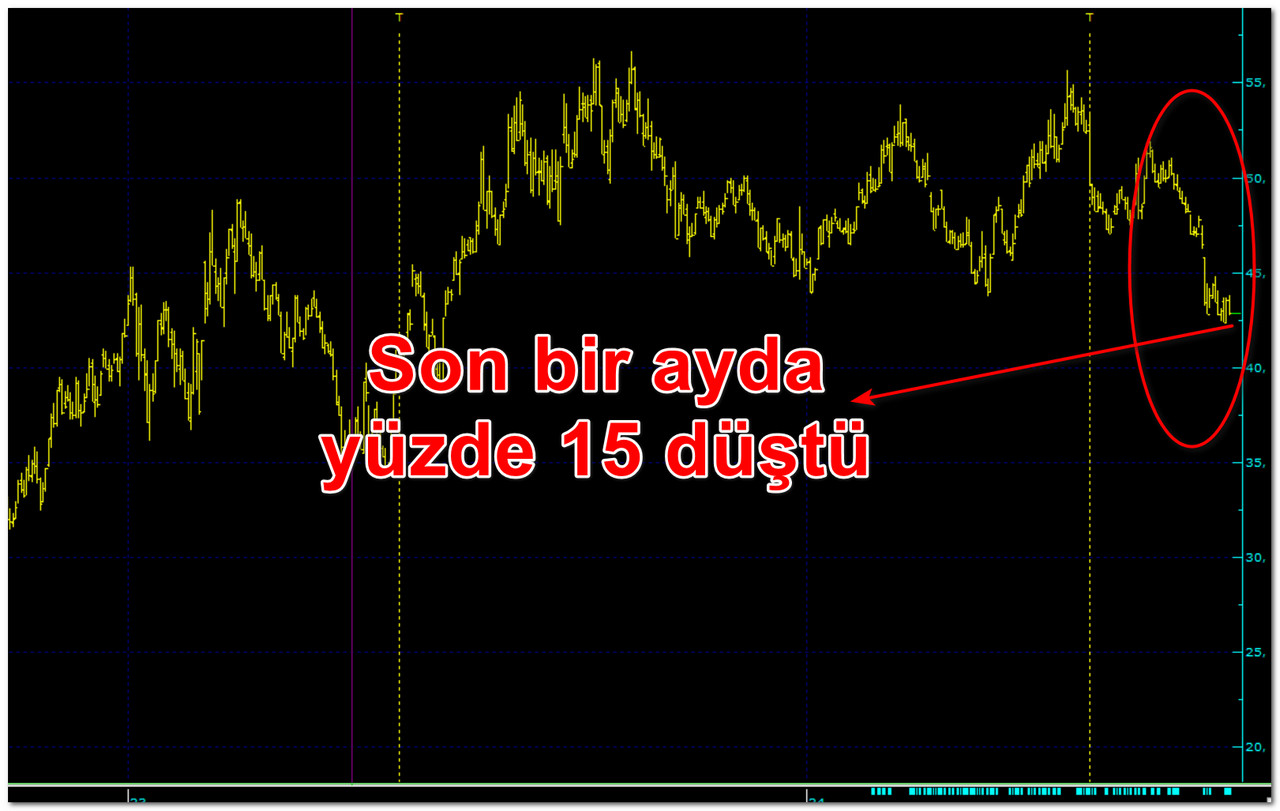 Türkiye’nin En İyi Şirketinin hissesi bir ayda yüzde 15 düştü!