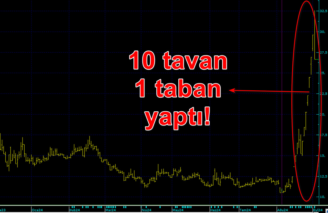 RTA Laboratuvarları hisse